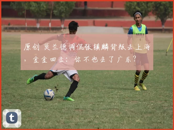 原创 莫兰德调侃张镇麟背叛去上海，金金回击：你不也去了广东？